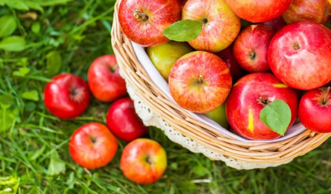 Le Vietnam est l’un des 5 plus gros importateurs de pommes au monde